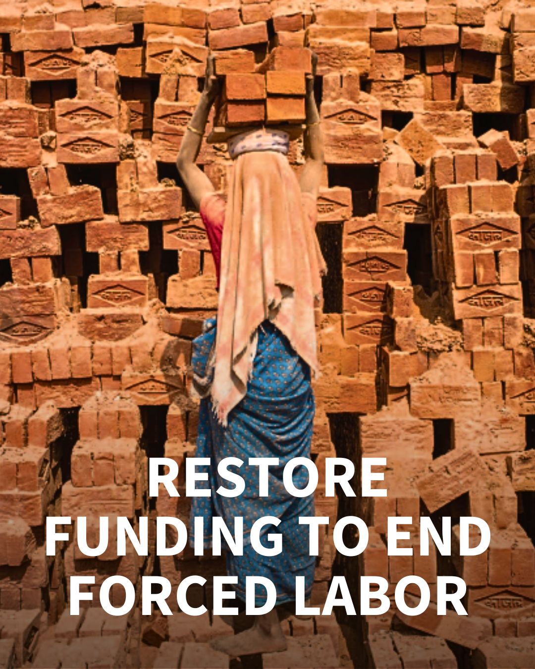 Civil Society Groups Alarmed by Cuts to ILAB Grants to Address Forced Labor and Child Labor